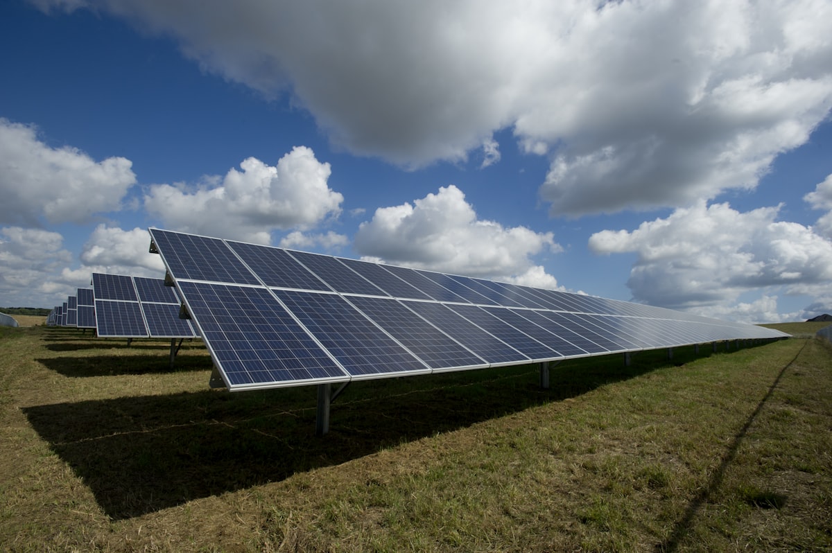 Solarmodule im Sonnenlicht